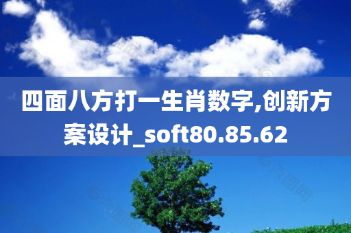 四面八方打一生肖数字,创新方案设计_soft80.85.62