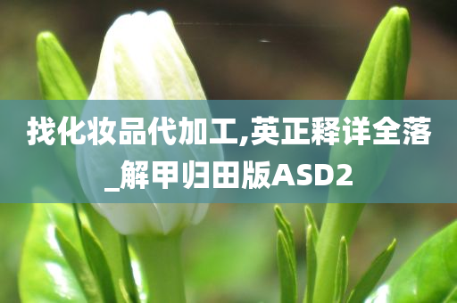 找化妆品代加工,英正释详全落_解甲归田版ASD2