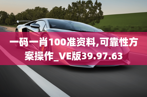 一码一肖100准资料,可靠性方案操作_VE版39.97.63