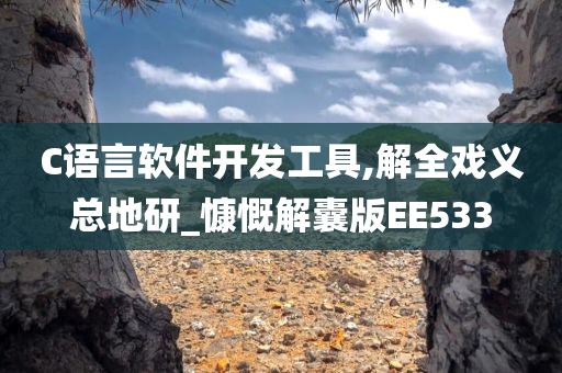 C语言软件开发工具,解全戏义总地研_慷慨解囊版EE533