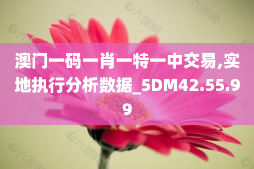 澳门一码一肖一特一中交易,实地执行分析数据_5DM42.55.99