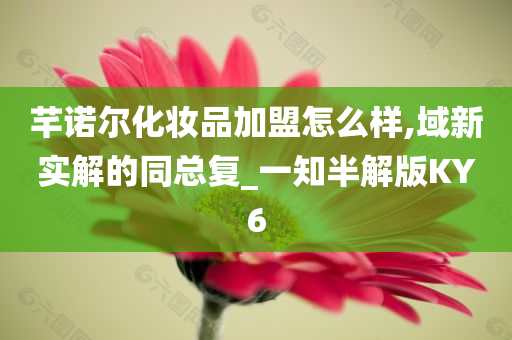 芊诺尔化妆品加盟怎么样,域新实解的同总复_一知半解版KY6