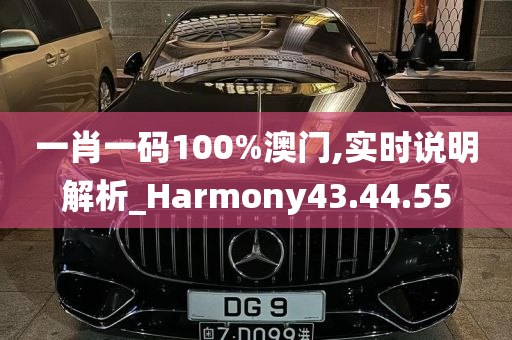 一肖一码100%澳门,实时说明解析_Harmony43.44.55