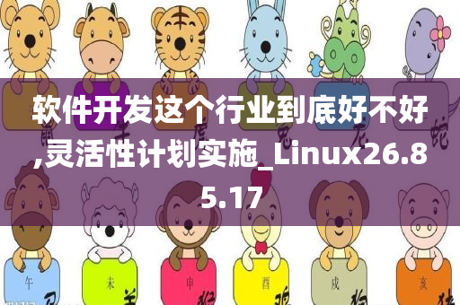 软件开发这个行业到底好不好,灵活性计划实施_Linux26.85.17