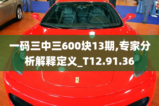 一码三中三600块13期,专家分析解释定义_T12.91.36