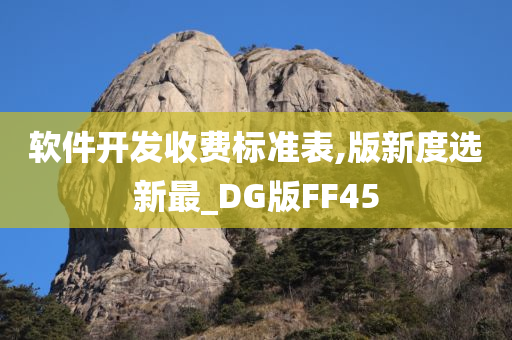 软件开发收费标准表,版新度选新最_DG版FF45