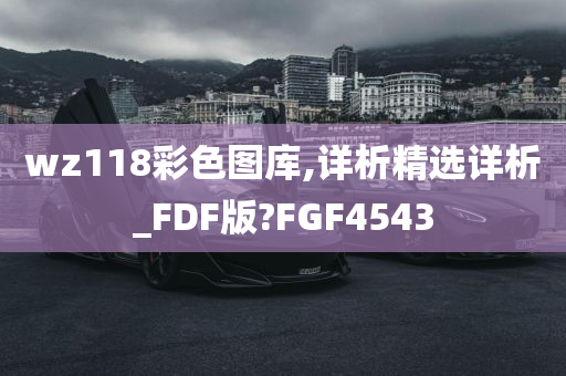 wz118彩色图库,详析精选详析_FDF版?FGF4543