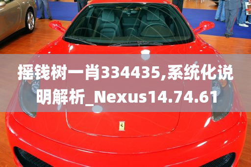 摇钱树一肖334435,系统化说明解析_Nexus14.74.61