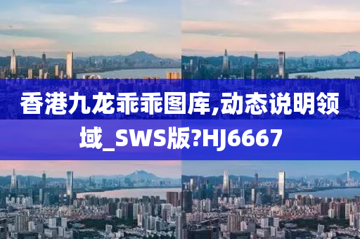 香港九龙乖乖图库,动态说明领域_SWS版?HJ6667