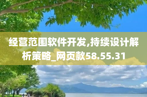 经营范围软件开发,持续设计解析策略_网页款58.55.31