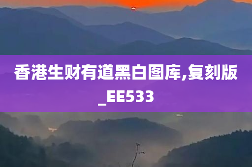 香港生财有道黑白图库,复刻版_EE533