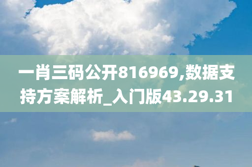 一肖三码公开816969,数据支持方案解析_入门版43.29.31