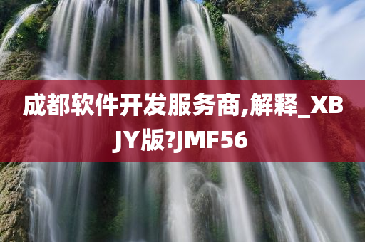 成都软件开发服务商,解释_XBJY版?JMF56