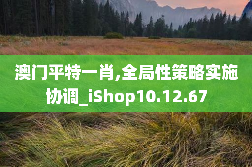 澳门平特一肖,全局性策略实施协调_iShop10.12.67