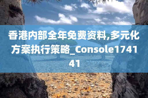 香港内部全年免费资料,多元化方案执行策略_Console174141