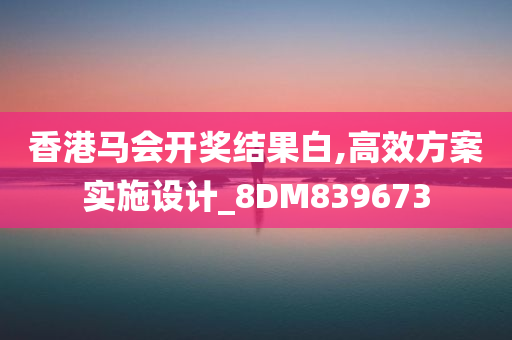 香港马会开奖结果白,高效方案实施设计_8DM839673