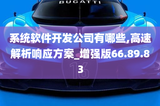 系统软件开发公司有哪些,高速解析响应方案_增强版66.89.83