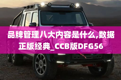 品牌管理八大内容是什么,数据正版经典_CCB版DFG56