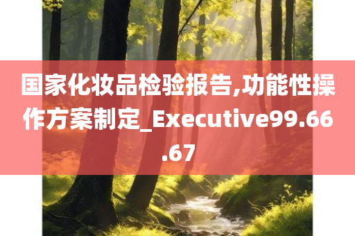 国家化妆品检验报告,功能性操作方案制定_Executive99.66.67