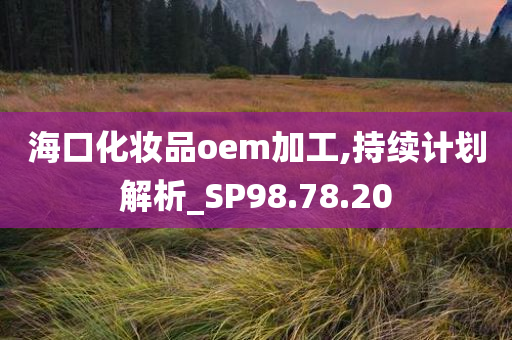 海口化妆品oem加工,持续计划解析_SP98.78.20