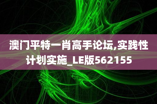 澳门平特一肖高手论坛,实践性计划实施_LE版562155