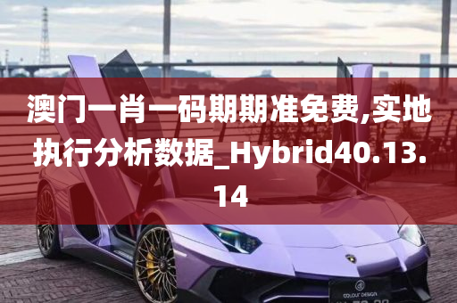 澳门一肖一码期期准免费,实地执行分析数据_Hybrid40.13.14