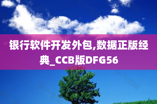 银行软件开发外包,数据正版经典_CCB版DFG56