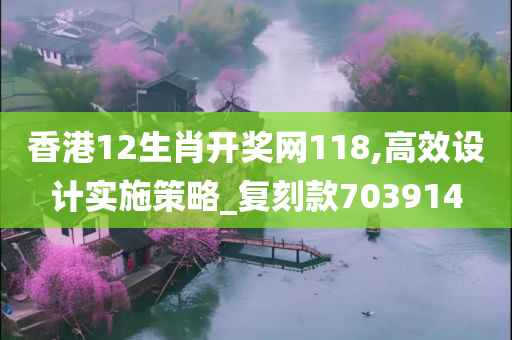 香港12生肖开奖网118,高效设计实施策略_复刻款703914