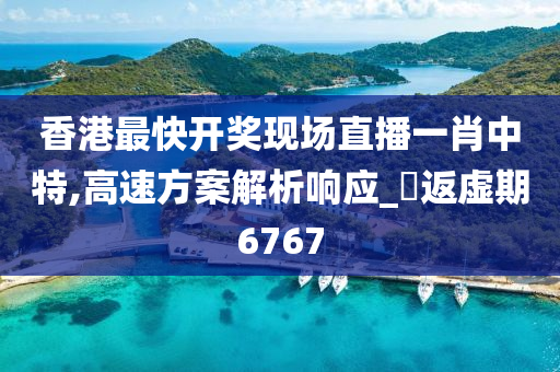 香港最快开奖现场直播一肖中特,高速方案解析响应_‌返虚期6767