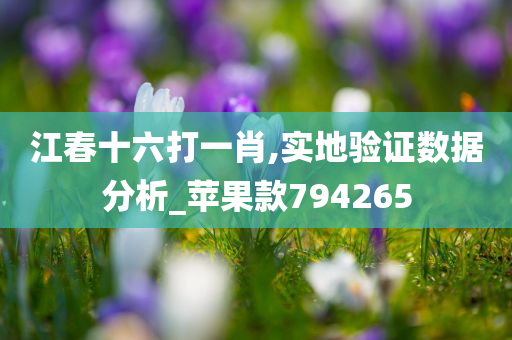 江春十六打一肖,实地验证数据分析_苹果款794265