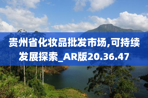 贵州省化妆品批发市场,可持续发展探索_AR版20.36.47