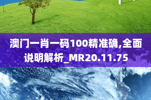 澳门一肖一码100精准确,全面说明解析_MR20.11.75