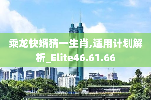 乘龙快婿猜一生肖,适用计划解析_Elite46.61.66