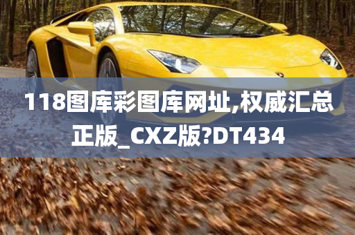 118图库彩图库网址,权威汇总正版_CXZ版?DT434