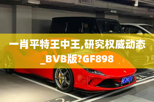 一肖平特王中王,研究权威动态_BVB版?GF898