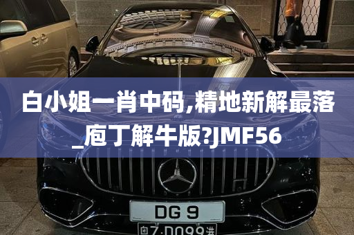 白小姐一肖中码,精地新解最落_庖丁解牛版?JMF56