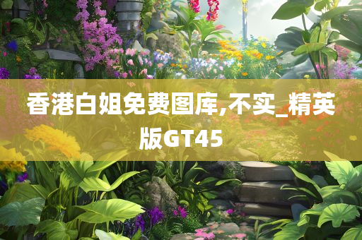 香港白姐免费图库,不实_精英版GT45