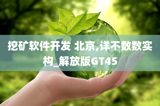 挖矿软件开发 北京,详不数数实构_解放版GT45