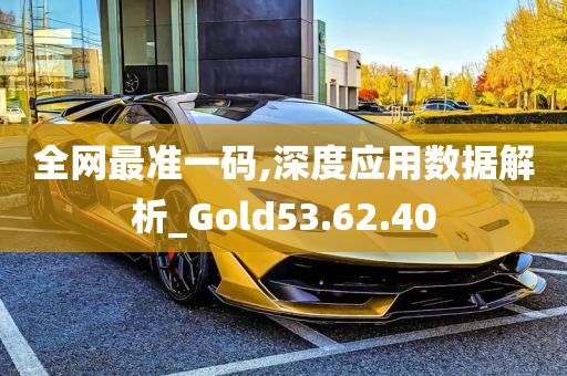 全网最准一码,深度应用数据解析_Gold53.62.40