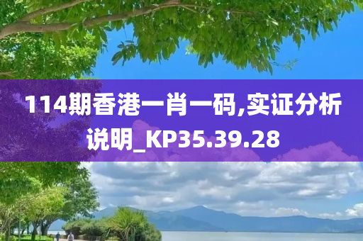 114期香港一肖一码,实证分析说明_KP35.39.28