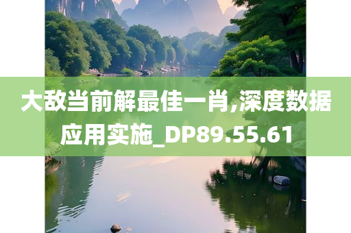 大敌当前解最佳一肖,深度数据应用实施_DP89.55.61