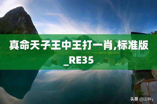 真命天子王中王打一肖,标准版_RE35