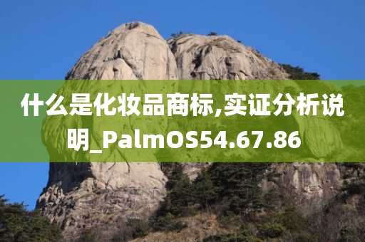 什么是化妆品商标,实证分析说明_PalmOS54.67.86