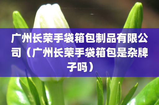 广州长荣手袋箱包制品有限公司（广州长荣手袋箱包是杂牌子吗）