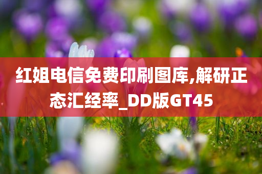 红姐电信免费印刷图库,解研正态汇经率_DD版GT45