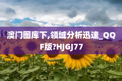 澳门图库下,领域分析迅速_QQF版?HJGJ77