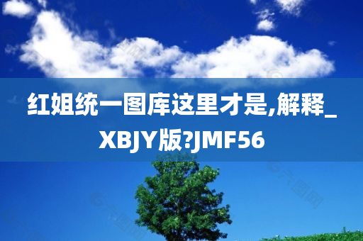 红姐统一图库这里才是,解释_XBJY版?JMF56