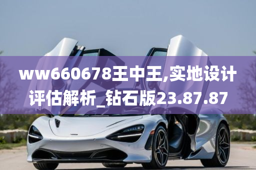 ww660678王中王,实地设计评估解析_钻石版23.87.87