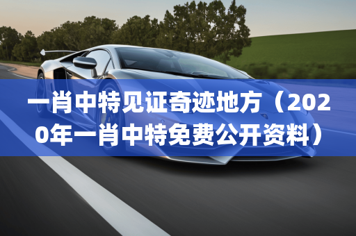 一肖中特见证奇迹地方（2020年一肖中特免费公开资料）