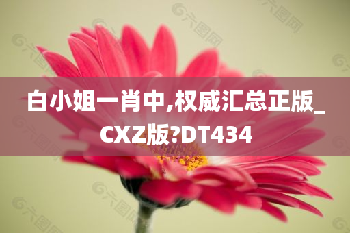 白小姐一肖中,权威汇总正版_CXZ版?DT434